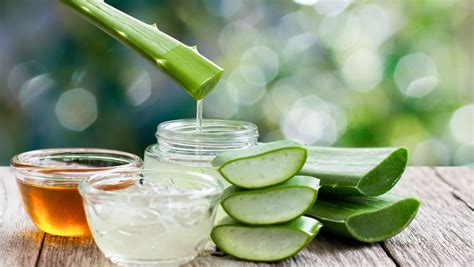 Aloe Enshrouded: Unveiling the Versatile Benefits of Nature's Miracle Healer