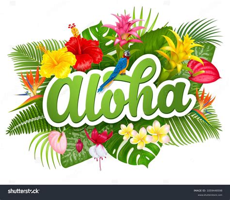 Aloha 中文的起源與含義