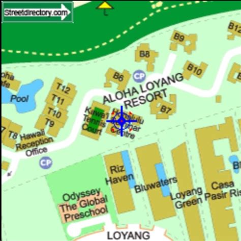 Aloha Loyang Prices: A Comprehensive Guide to Current Market Trends