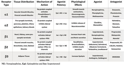 Alpha Beta Receptors Chart