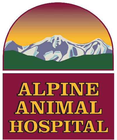 Alpine Hospital for Animals: Providing Exceptional Care in the Heart of the Mountains