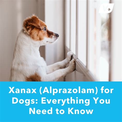 Alprazolam For Dogs Dosage Chart