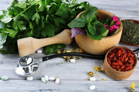 Alternative Herbal Health Services: A Path to Holistic Healing