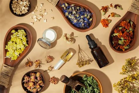 Alternative Medicine in Singapore: A Comprehensive Guide to Holistic Healing