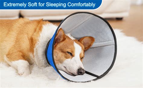 Alternative to Dog Head Cone: A Comprehensive Guide to Safe and Humane Post-Surgery Recovery
