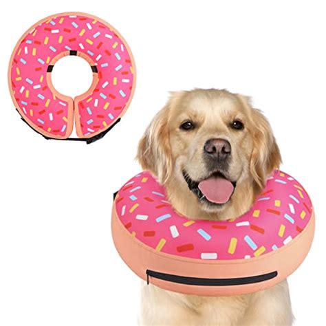 Alternatives to Dog Cones: A Comprehensive Guide