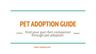 Alvin Animal Adoption: Your Guide to Finding a Purrfect Companion