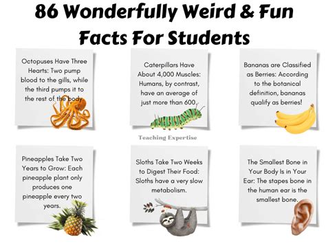Amazing Facts 8000 Collection of Amazing and Weird Facts Epub