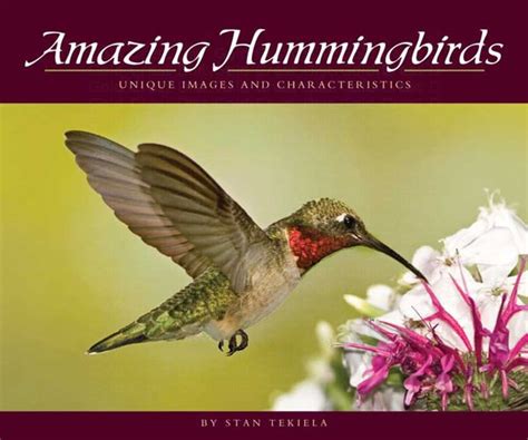 Amazing Hummingbirds: Unique Images and Characteristics Epub