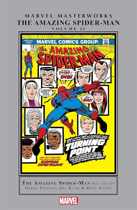 Amazing Spider-Man Masterworks Vol 13 Amazing Spider-Man 1963-1998 Doc
