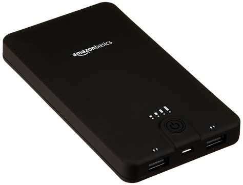 AmazonBasics Portable Power Bank 600 Reader