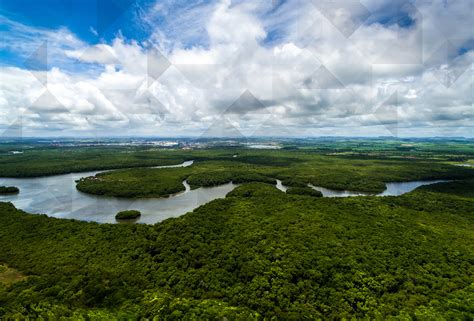 Amazonas e Brusque: Uma Jornada Inesquecível Através da Floresta e da História