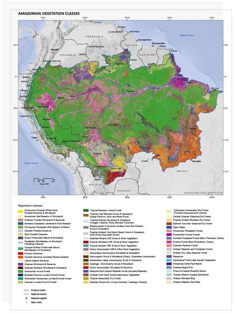 Amazonian Abundance: A Lifeline for Ecosystems