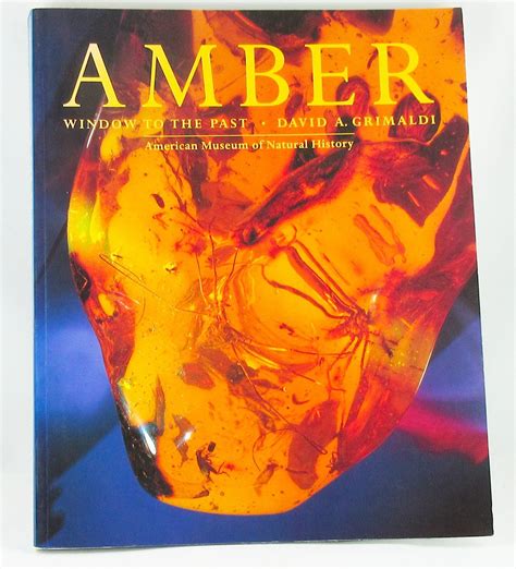 Amber: A Window to the Past