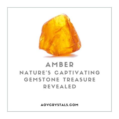 Amber Lamb: Nature's Golden Gemstone