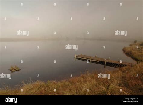 Ambigious Fog: