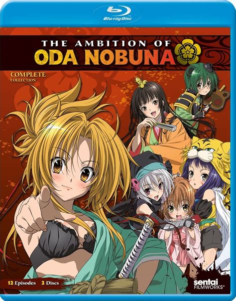 Ambition of Oda Nobuna: A Comprehensive Guide to Gameplay and Strategy