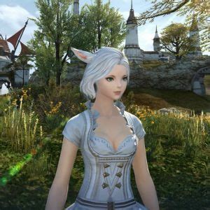 Ambitious Ends: A Comprehensive Guide to FFXIV's Next Expansion