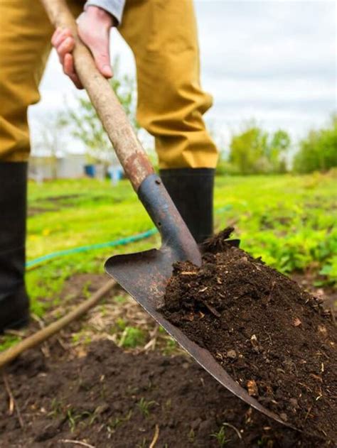 Amelioran: A chave para solos mais saudáveis e produtivos