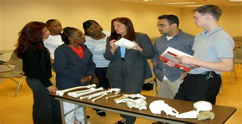 American Academy McAllister Institute: Unlocking the Power of Education for All