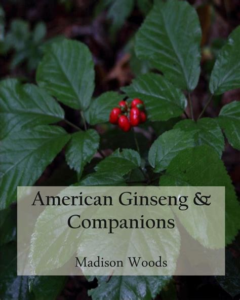 American Ginseng and Companions Kindle Editon