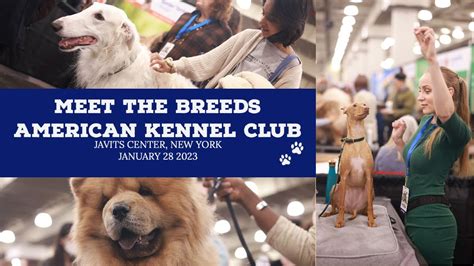 American Kennel Club,