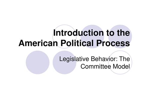 American Political Process PDF