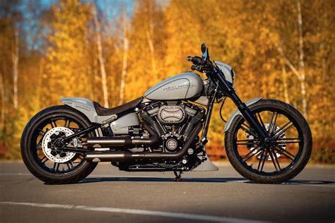 American Thunder-30 Photographs of Harley Davidson Motorcycles Epub