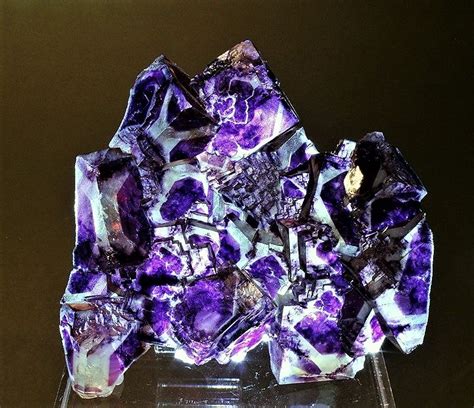 Amethyst in Biotechnology: