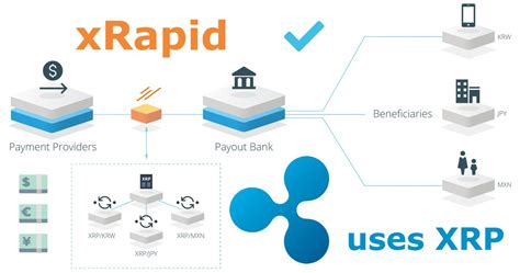 Amex Ripple: Transformative Cross-Border Payments with xRapid