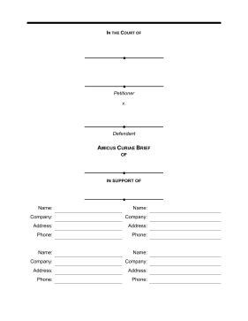 Amicus Curiae Brief Template