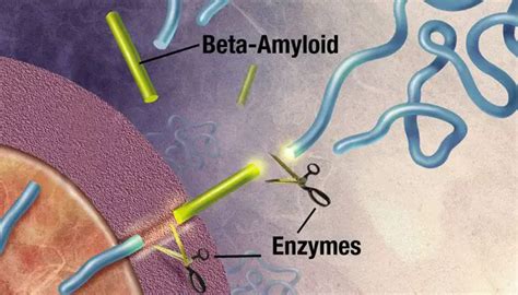 Amilóide-beta: O Vilão da Doença de Alzheimer