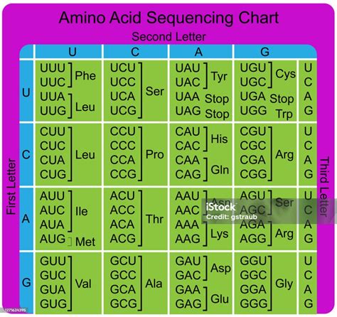 Amino Acid Code Chart