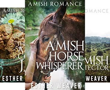 Amish Broken Hearts Series 3 Book Series Reader