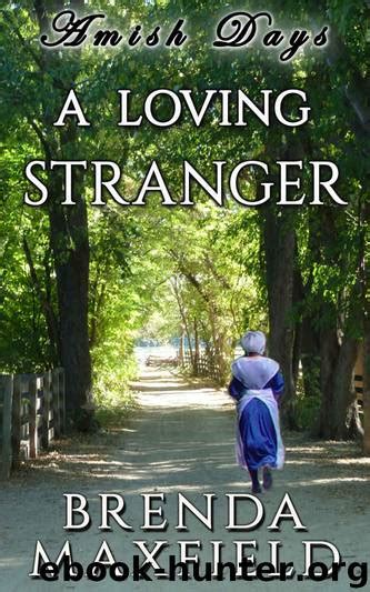 Amish Days A Loving Stranger An Amish Romance Short Story Hollybrook Amish Romance Doc