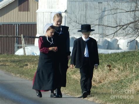 Amish Siblings Kindle Editon
