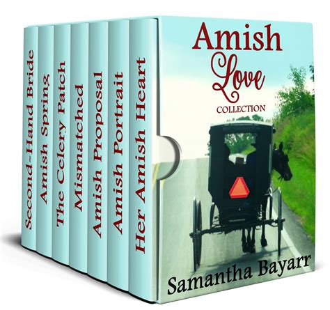 Amish Wildflower 3 Book Series Doc
