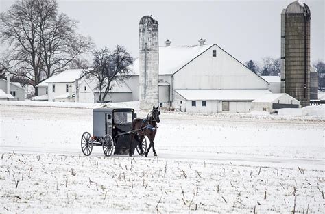 Amish Winter Collection PDF