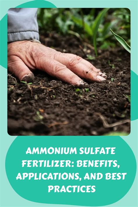 Ammonia Sulfate Fertilizer: 12 Key Benefits and 6 Common Mistakes to Avoid