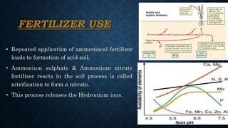 Ammoniacal Fertilizer: A Comprehensive Guide to Its History, Production, and Applications