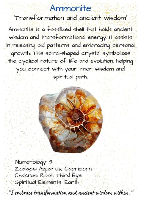 Ammonite Fossil - Spiritual Meaning: A Timeless Guide for 9 Spiritual Truths