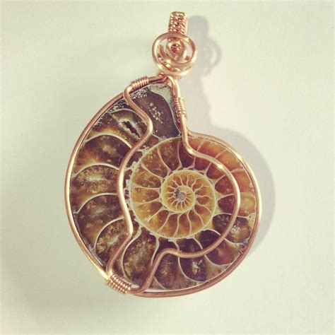 Ammonite for Sale: Own a Piece of Ancient History!