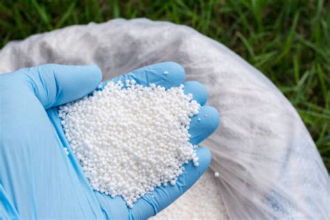 Ammonium Fertilizer: An Overview