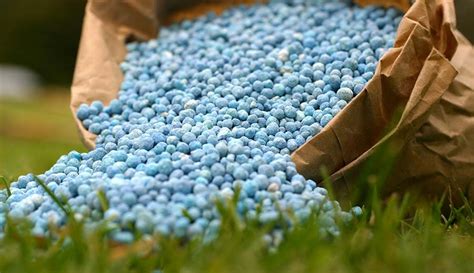 Ammonium Nitrate Fertilizer: 10,000 Reasons to Grow