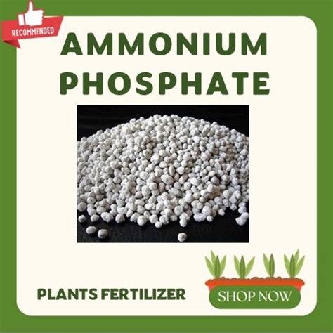 Ammonium Phosphate Fertilizer: The Essential Nutrient for High-Yield Crops