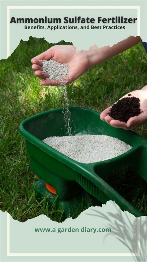 Ammonium Sulfate Fertilizer: The 10,000-Character Guide to Benefits, Applications, and More