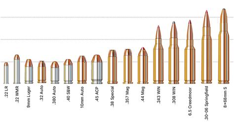 Ammunition Types: A Spectrum of Destruction