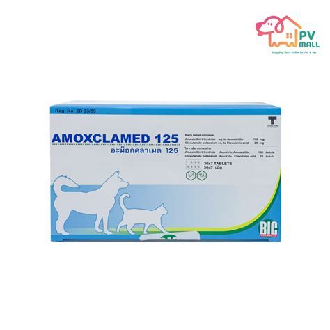 Amox Clav 875 125: The Ultimate Guide to This Powerful Antibiotic