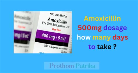 Amoxicillin 500 mg Dosage: Your Quick Reference