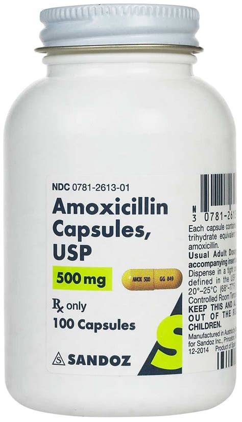 Amoxicillin 500mg for Dogs: The Complete Guide